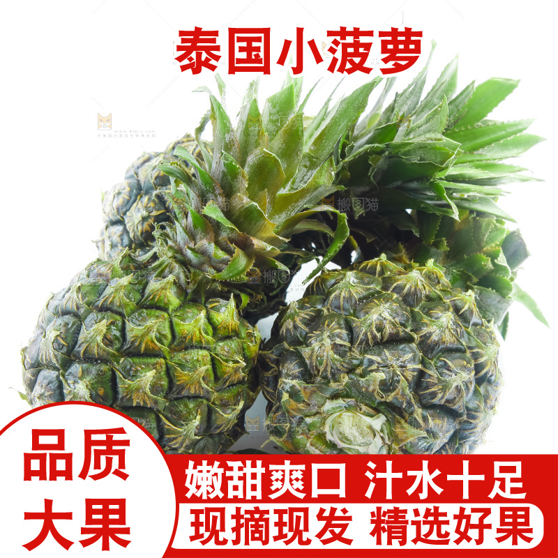 篮子里的泰国迷你小菠萝