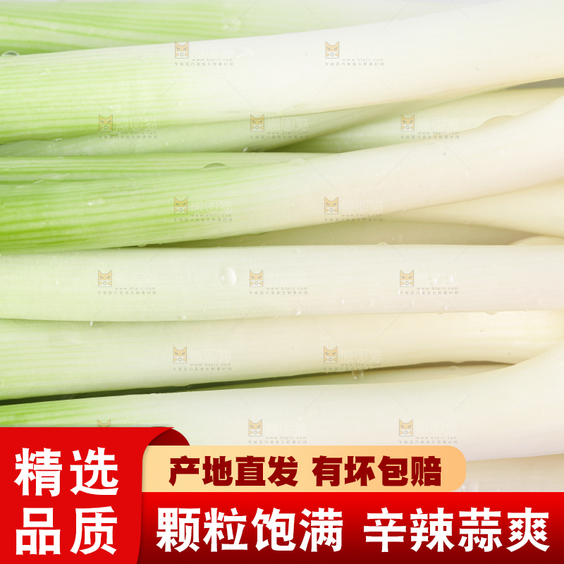 白底上放着蒜苗