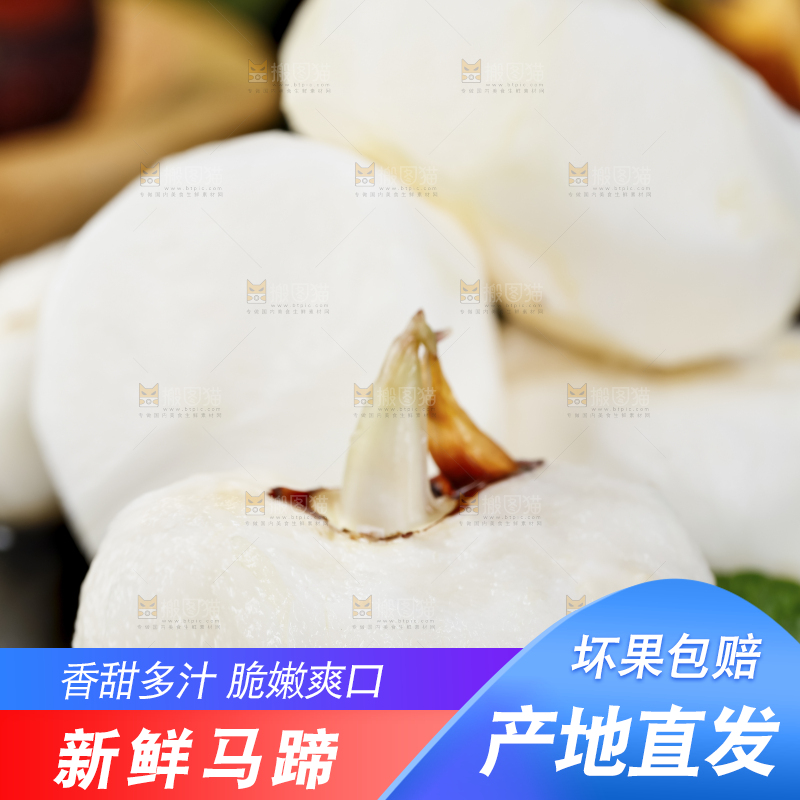 黑石板上放着广西马蹄