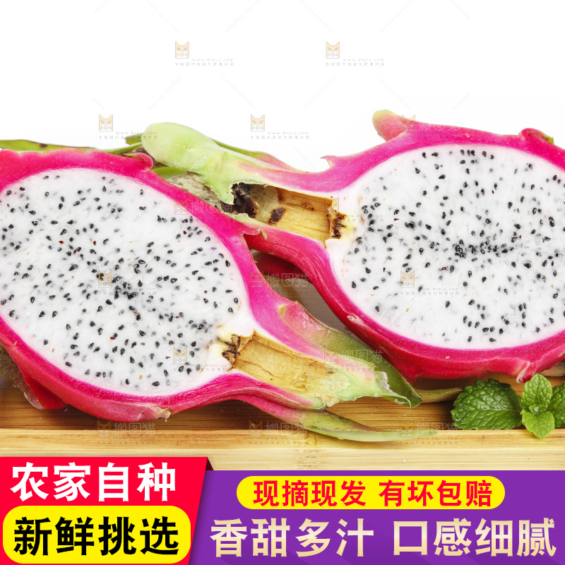 白底上的越南白心火龙果