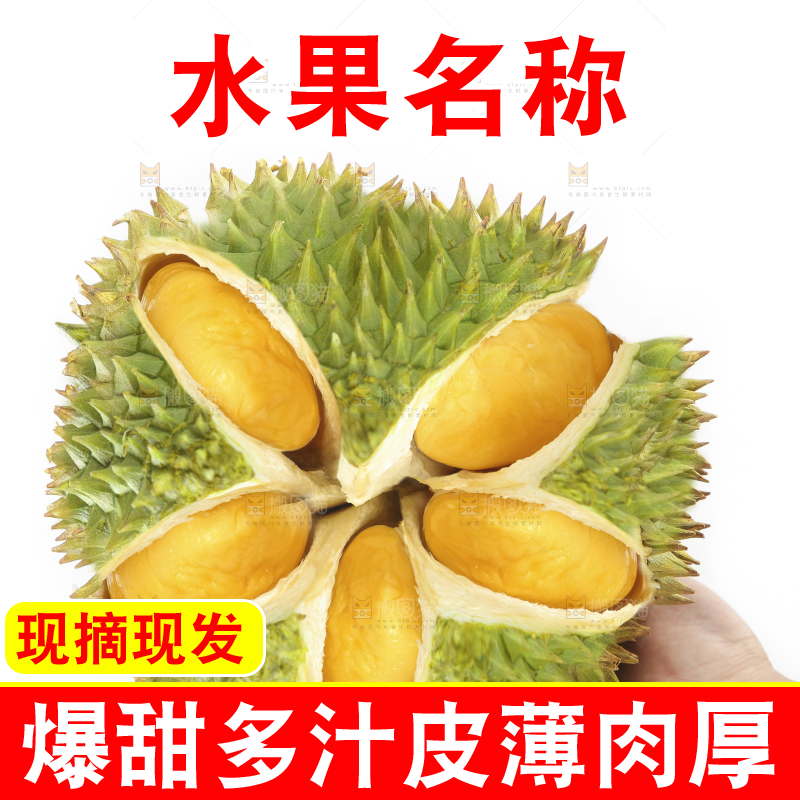 白底上放着泰国金枕榴莲