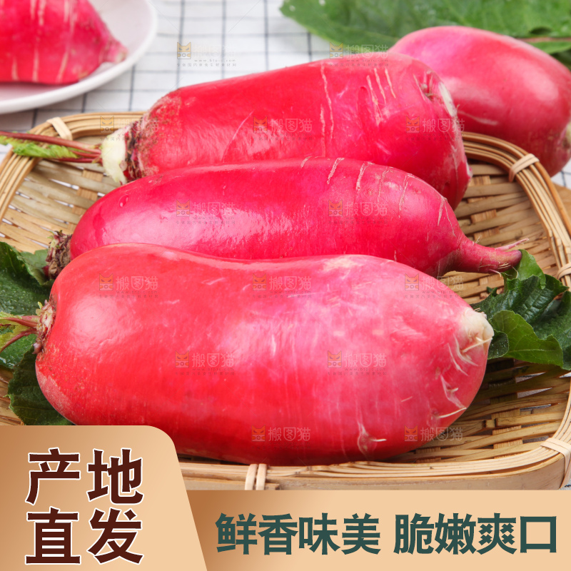 白格子底上的湖北红皮萝卜