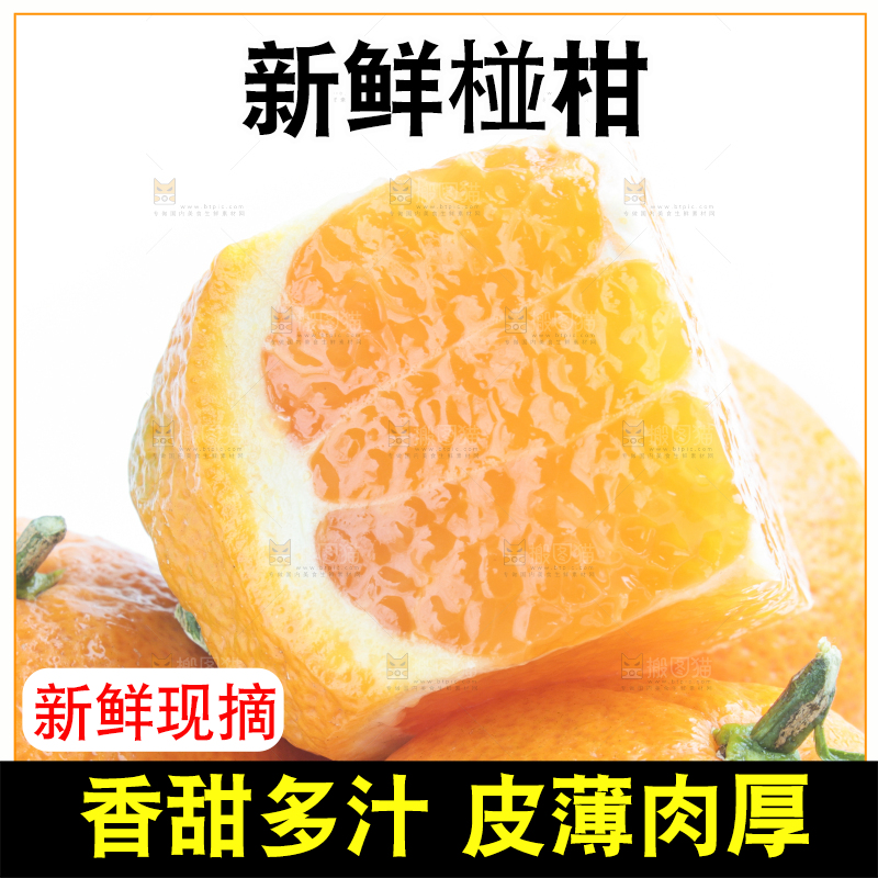 白底上放着四川椪柑