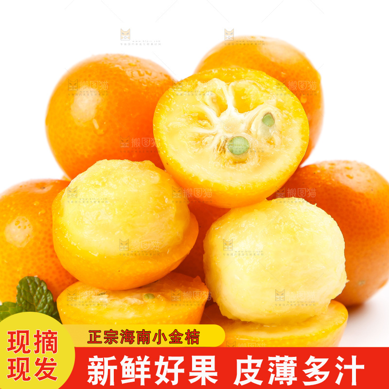 白底上摆放着阳朔金桔