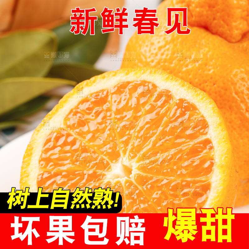盘子里装着春见柑桔