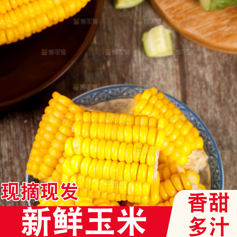 深底上的东北玉米