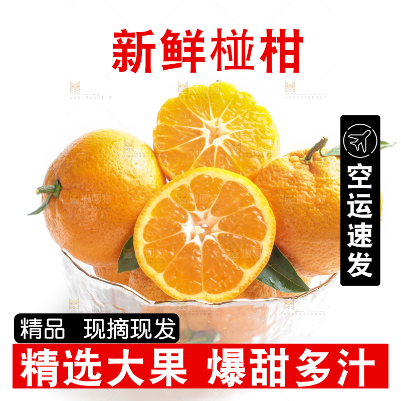 白底上放着椪柑
