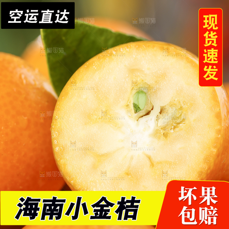 篮子里装着金钱桔