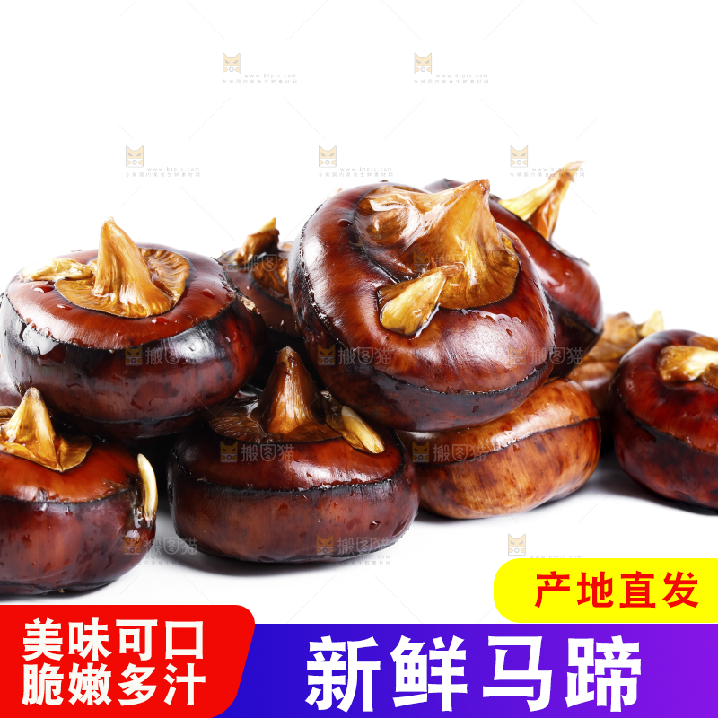 白底上的菩荠
