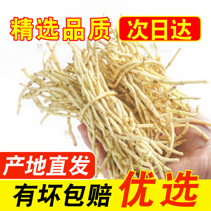 手里拿着新鲜鱼腥草