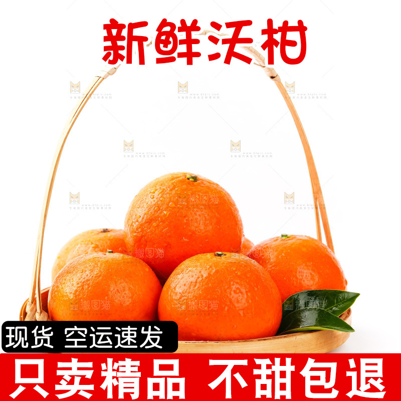 篮子里的贵妃柑