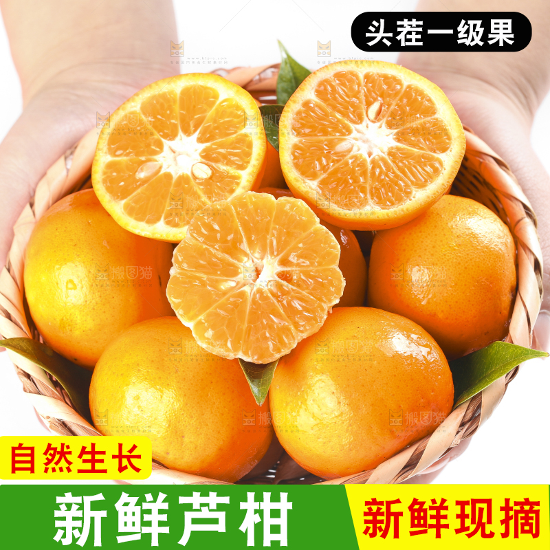 白底上放着椪柑