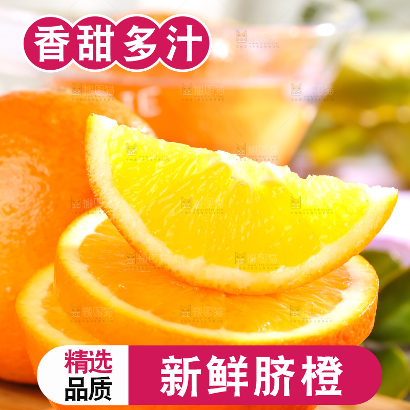 黄板子上的冰糖橙