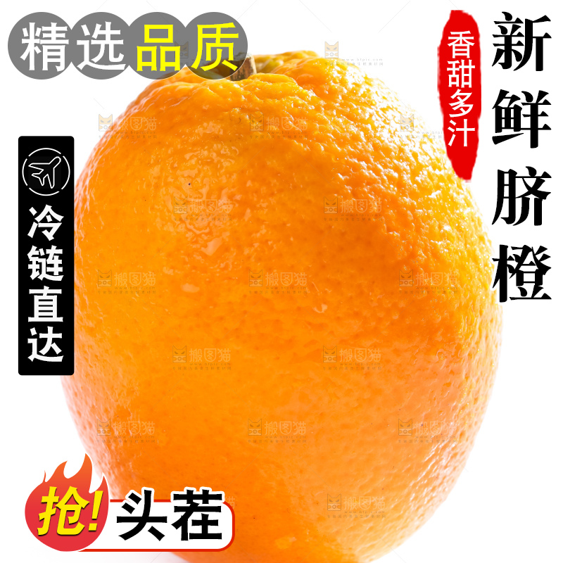 白底上的高山甜橙