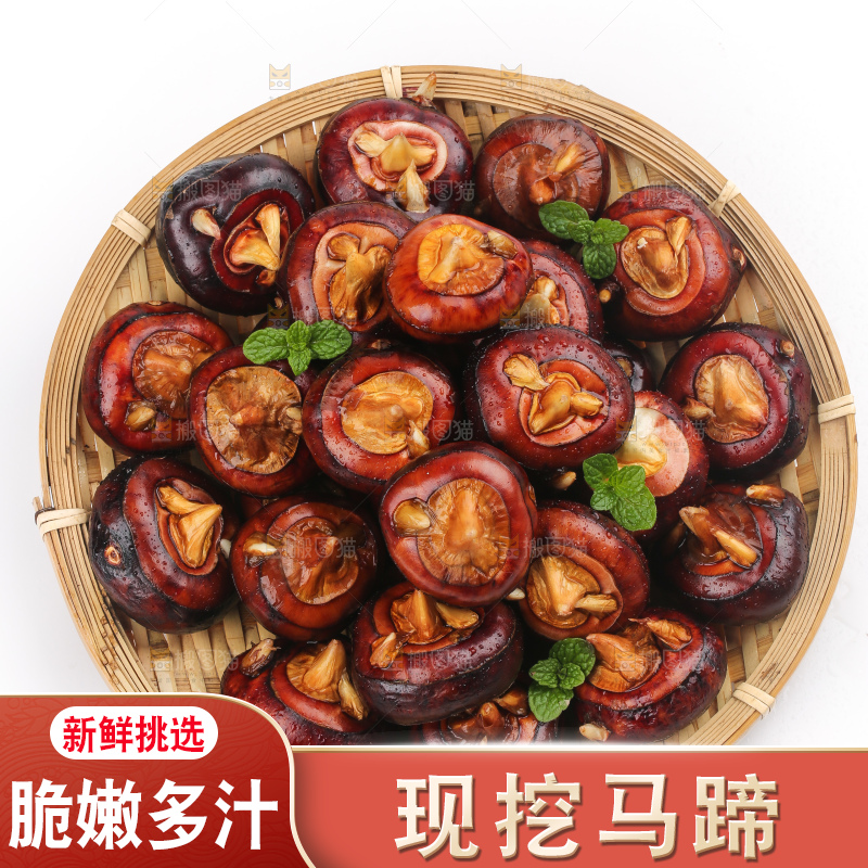 篮子里的荔浦马蹄