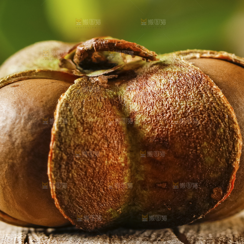 深底上的茶树果