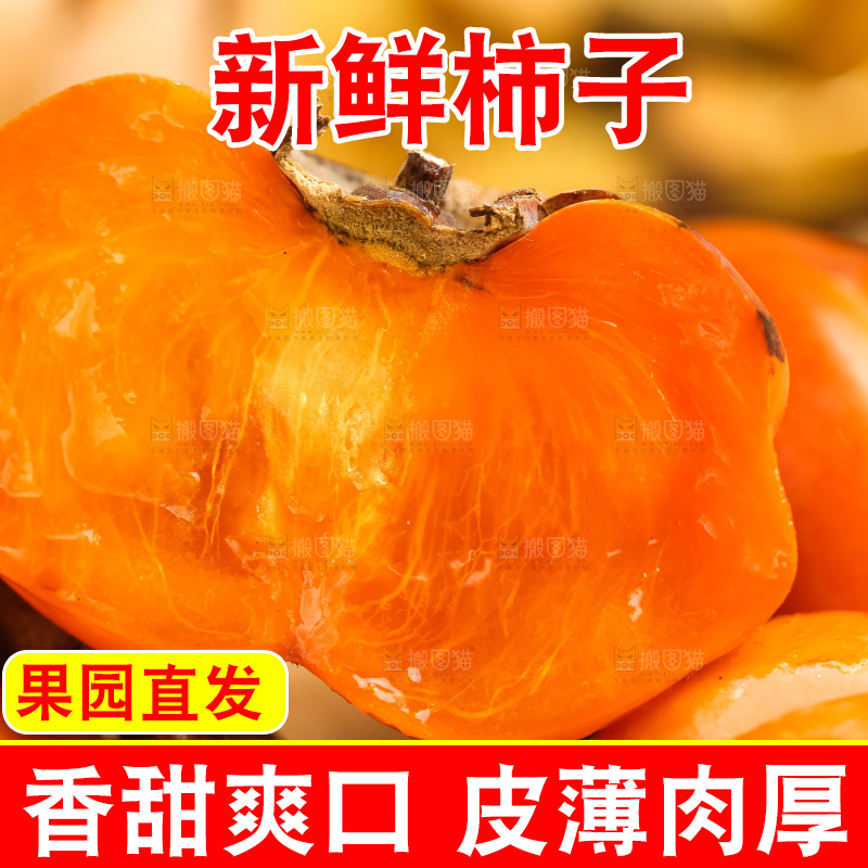 树枝上挂着磨盘柿