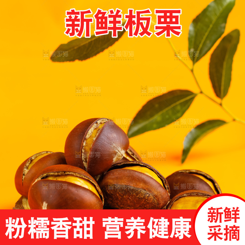 黄底上的迁西板栗