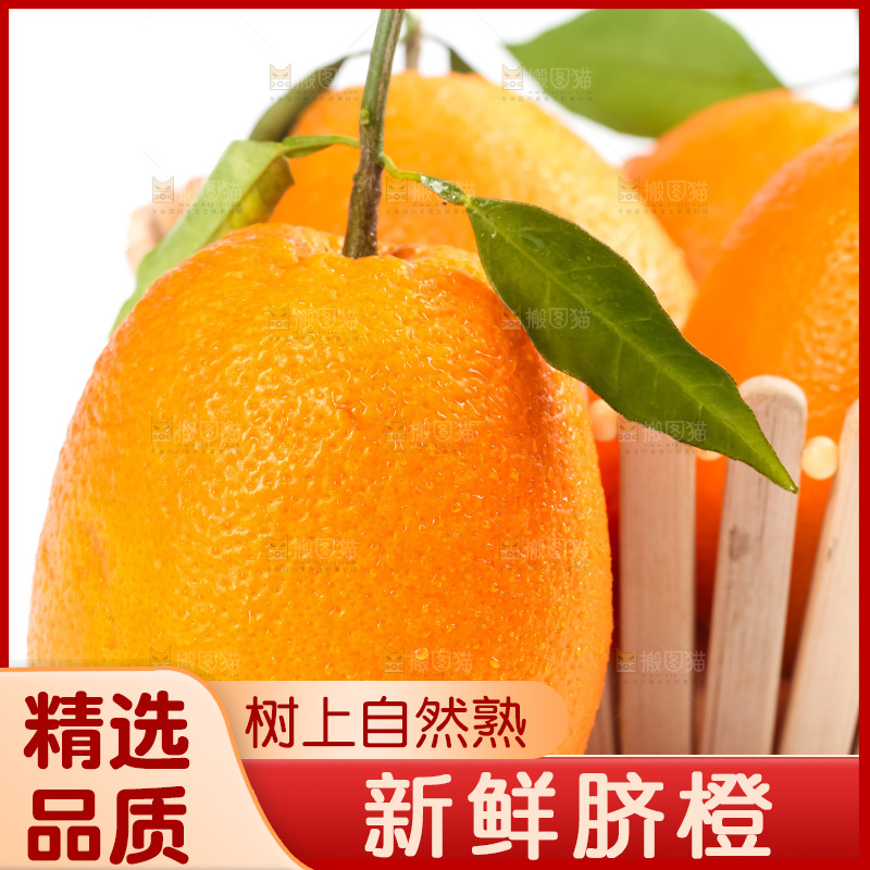 篮子里装着奉节脐橙