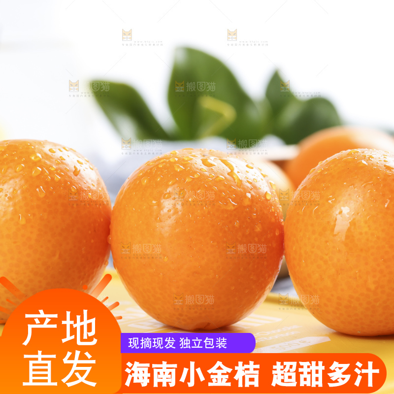 浅底上摆放着金桔
