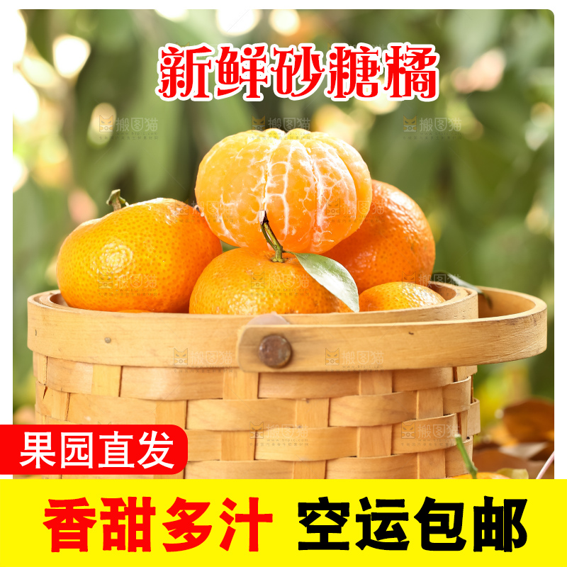 篮子里装着广西砂糖橘