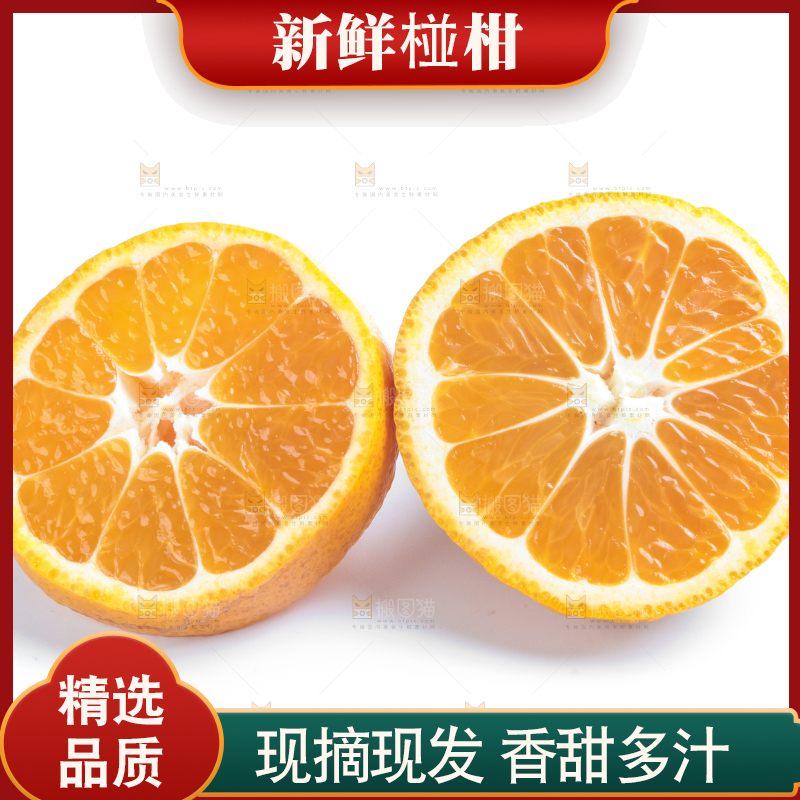 白底上的椪柑