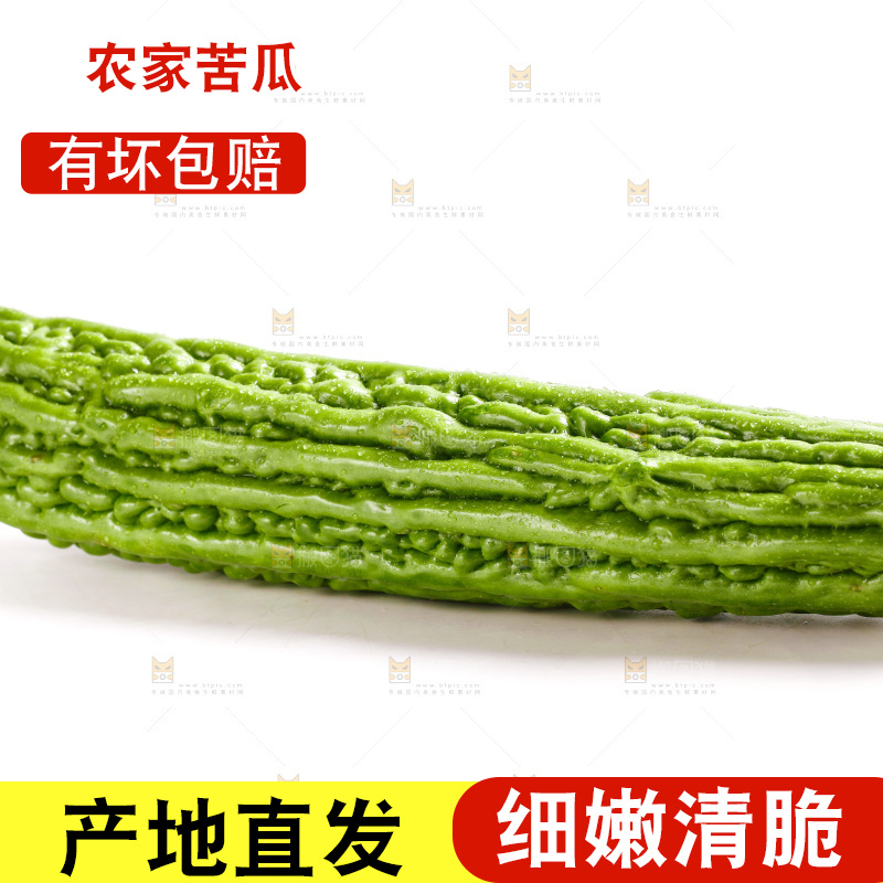 白底上摆放着新鲜苦瓜