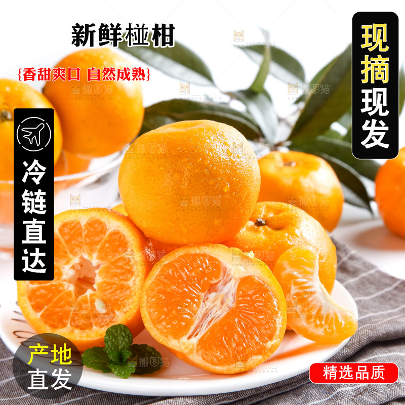 盘子里装着椪柑