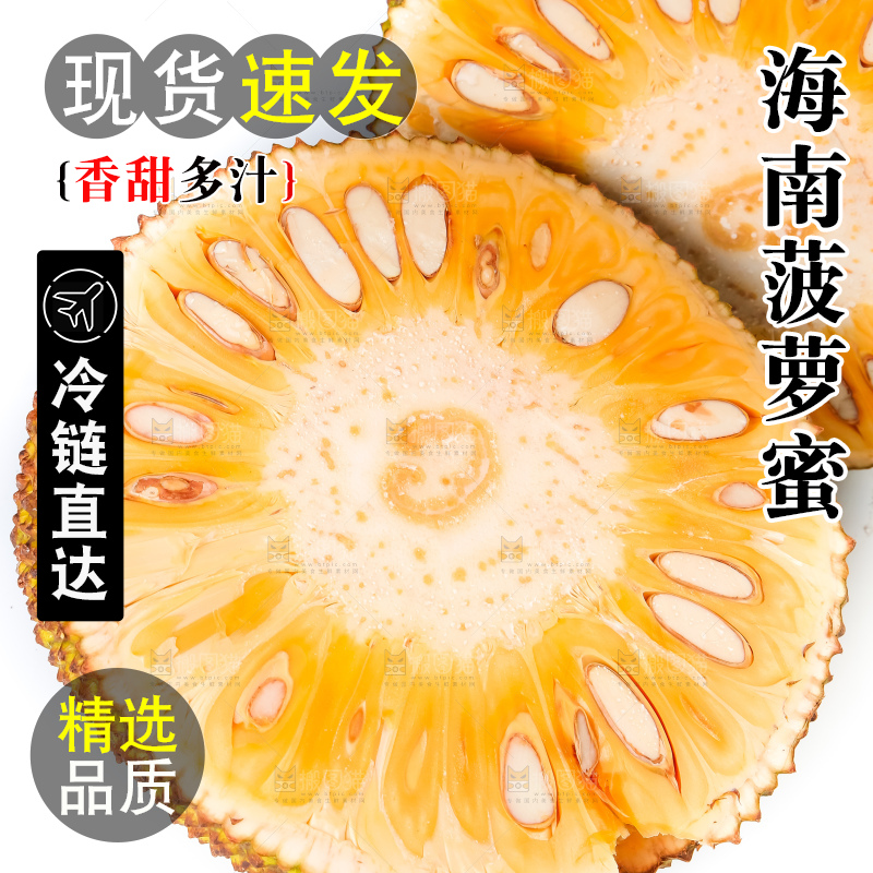 白底上的越南菠萝蜜