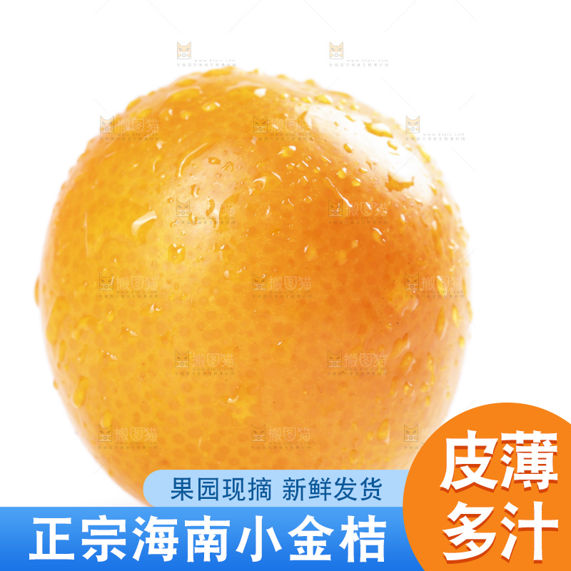 白底上摆放着新鲜金橘