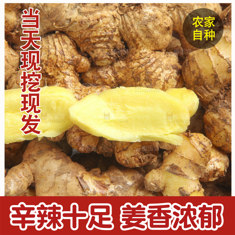 白底上放着云南小黄姜