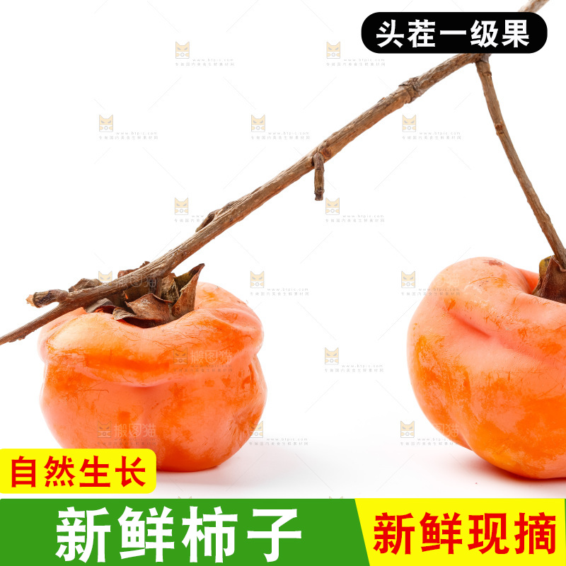 白底上放着磨盘柿