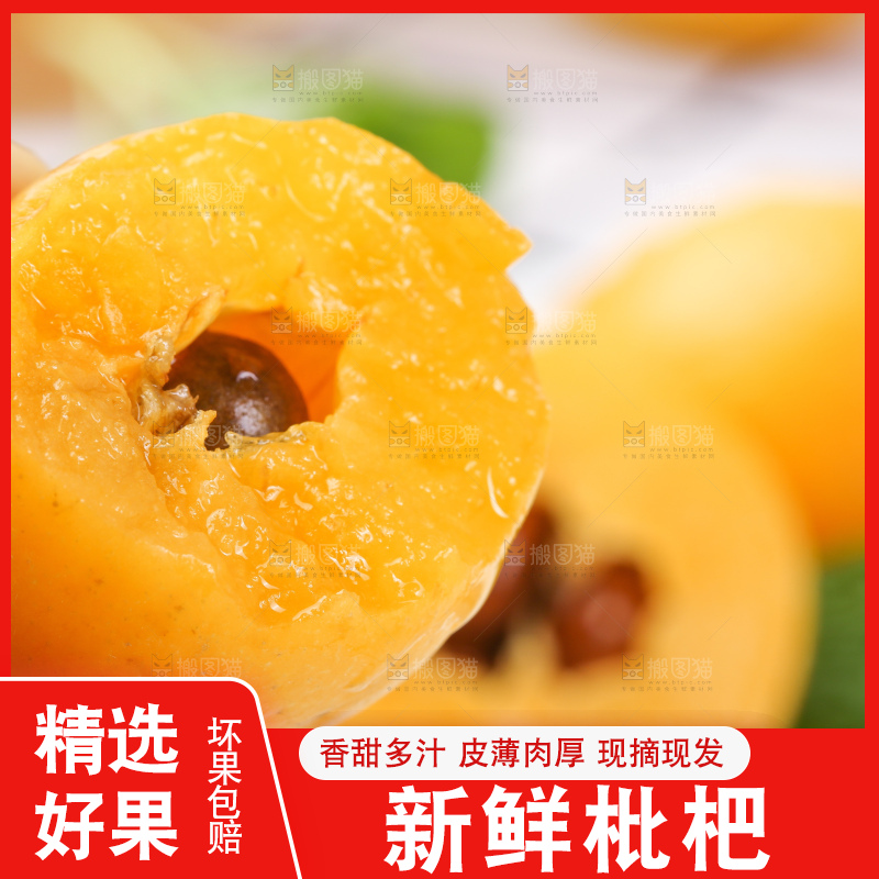 手里拿着新鲜枇杷