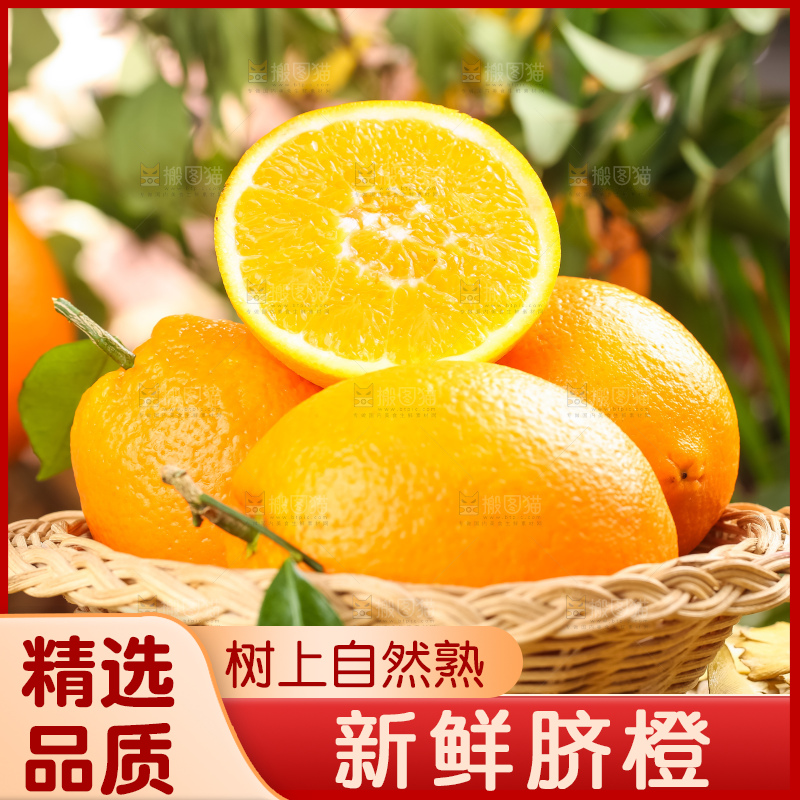 篮子里装着长虹脐橙