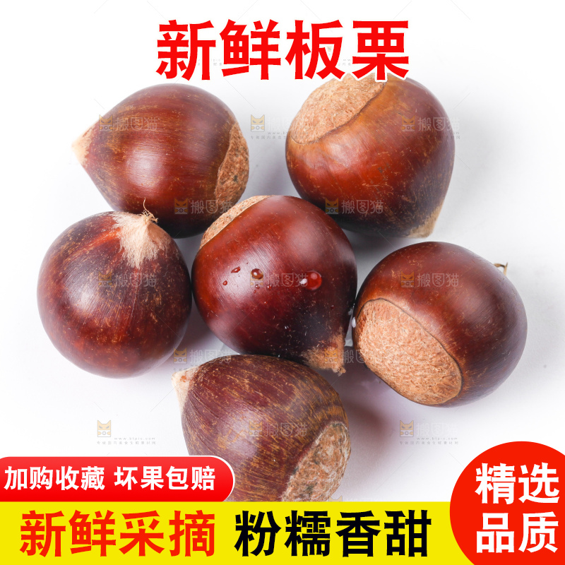 白底上放迁西板栗
