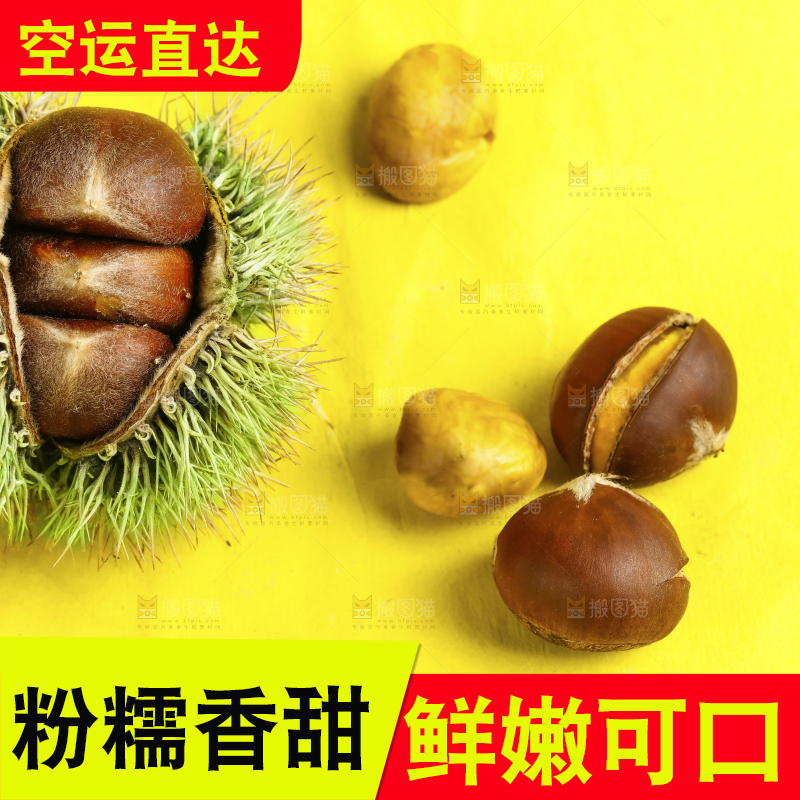 黄底上放着迁西板栗