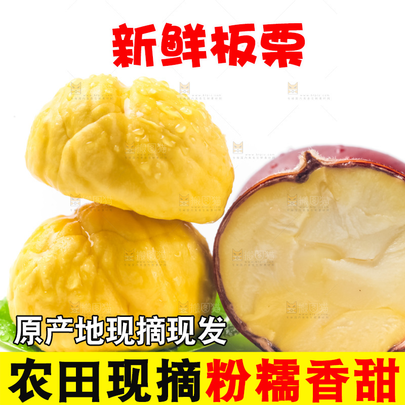 白底上的板栗