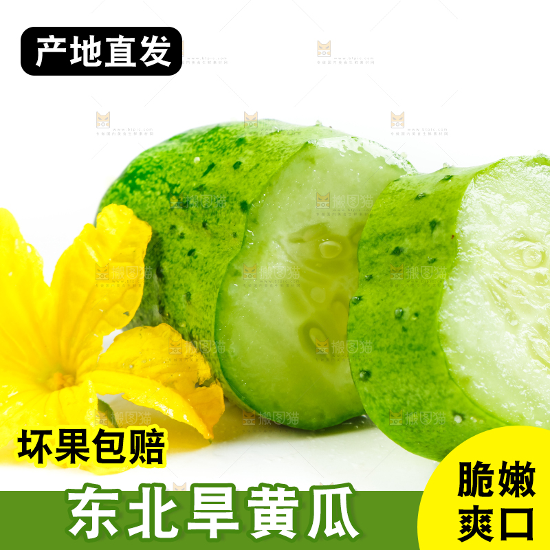 白底上放着新鲜旱黄瓜