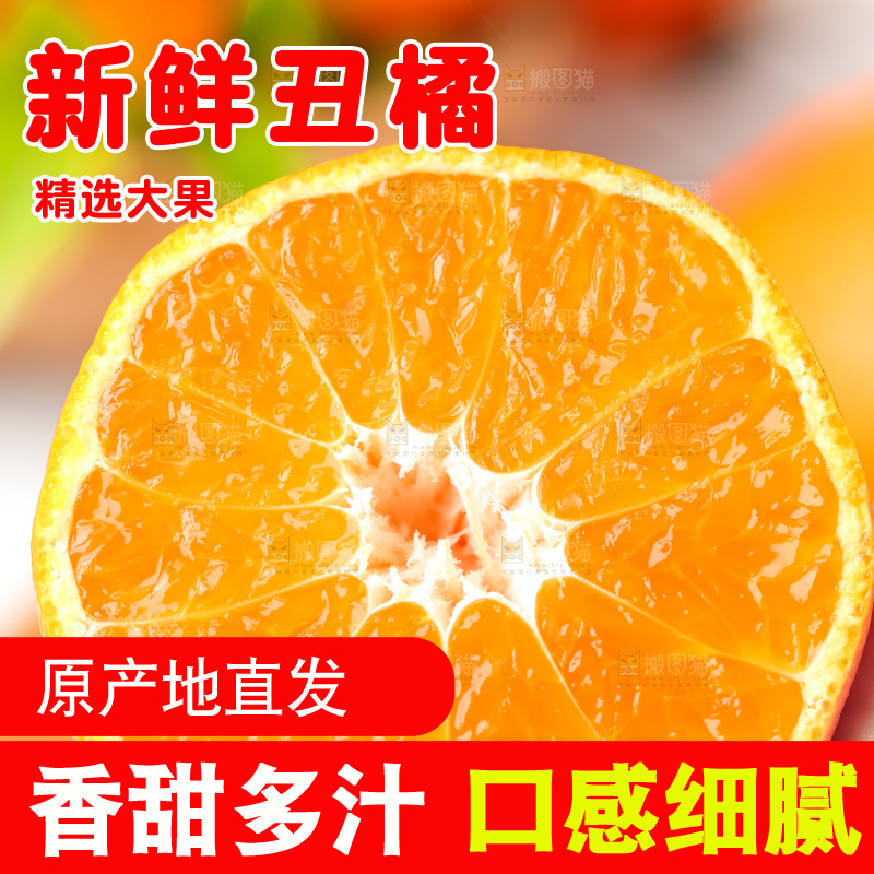 手里拿着新鲜丑橘