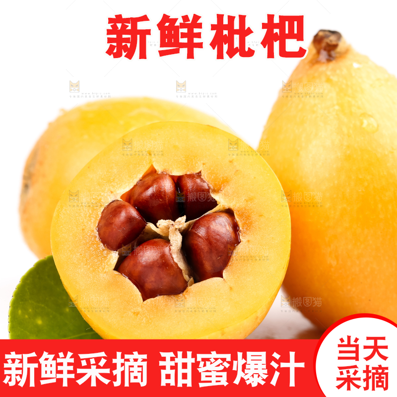 白底上放着攀枝花米易枇杷