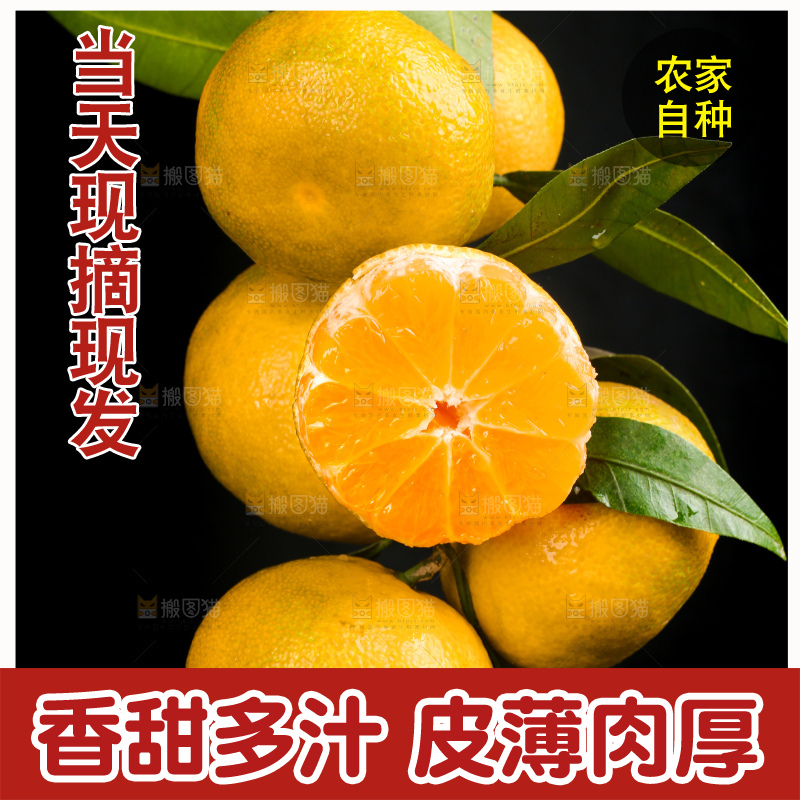 黑底上一堆新鲜皇帝柑