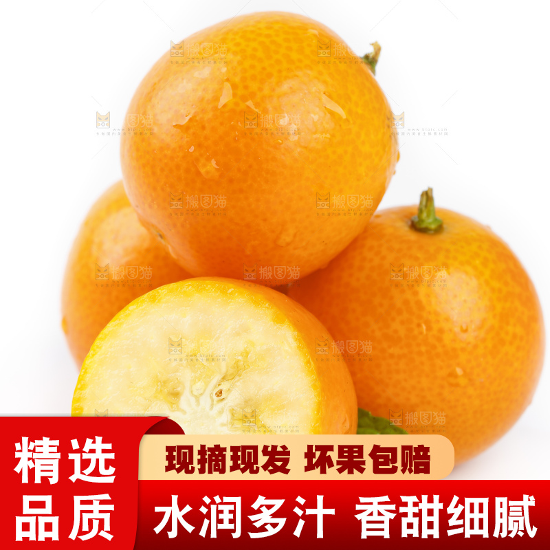 白底上的金桔