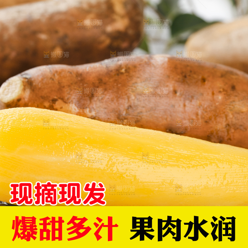 石板上放着地参果
