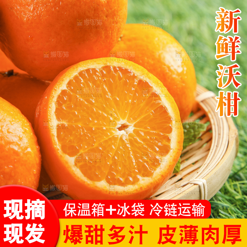 草地上放着贵妃柑