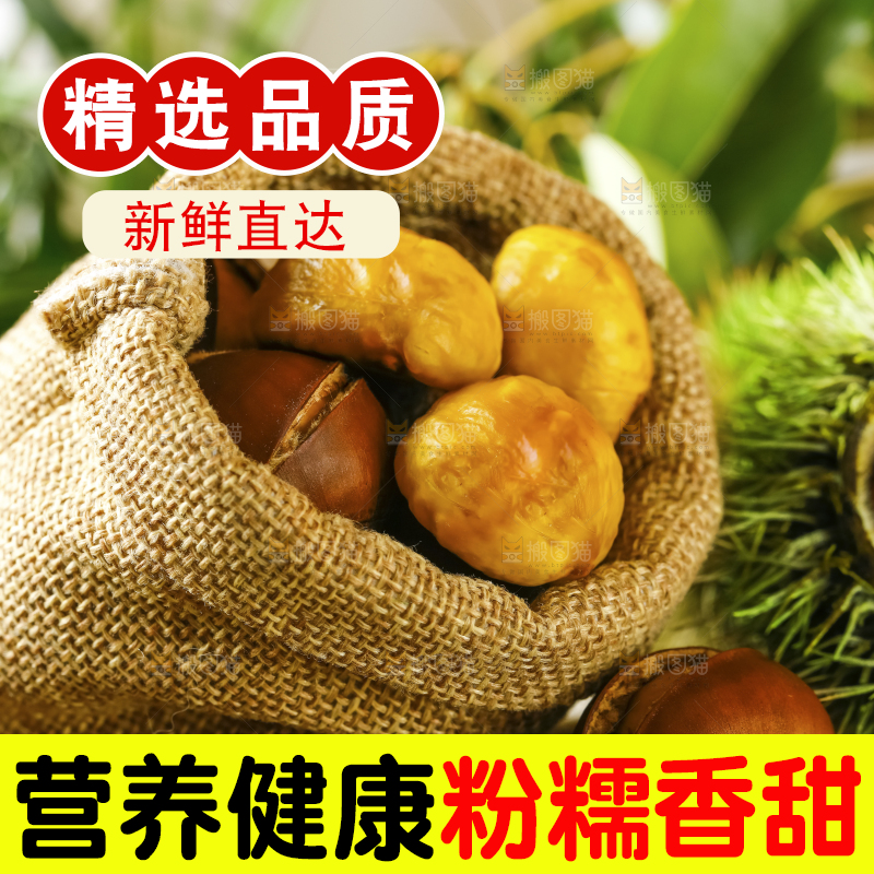 深底上的迁西板栗