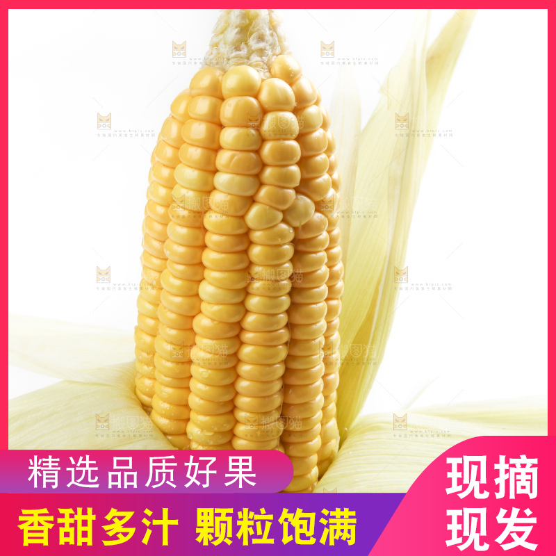 白底上放着黄玉米