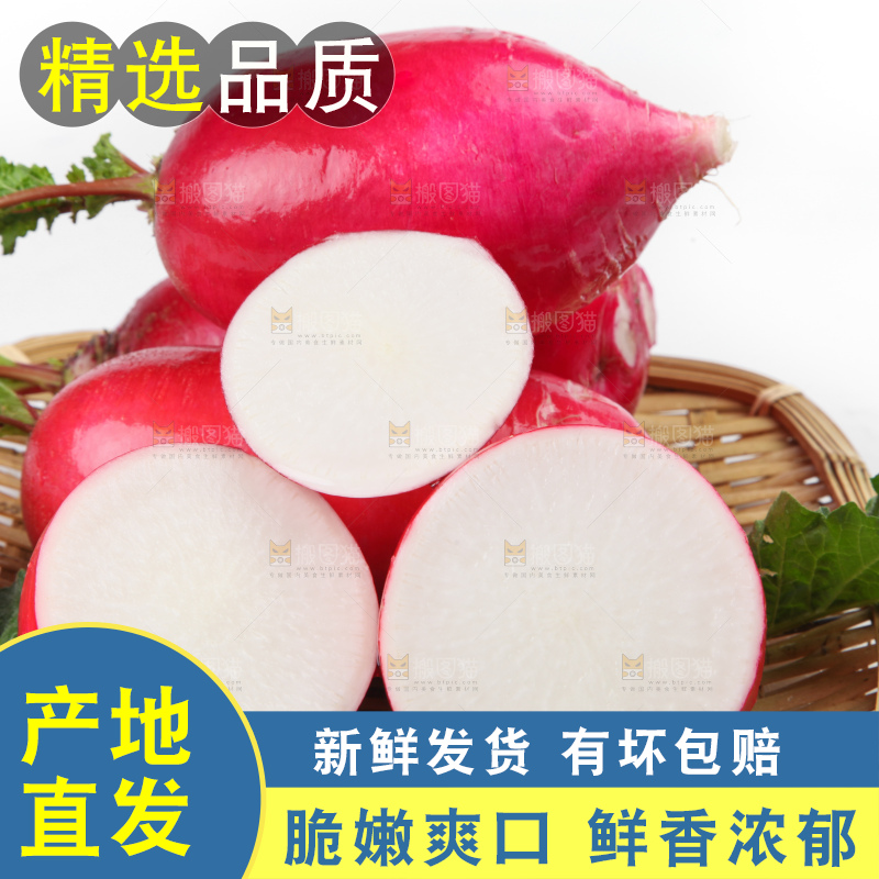 白底上的红萝卜