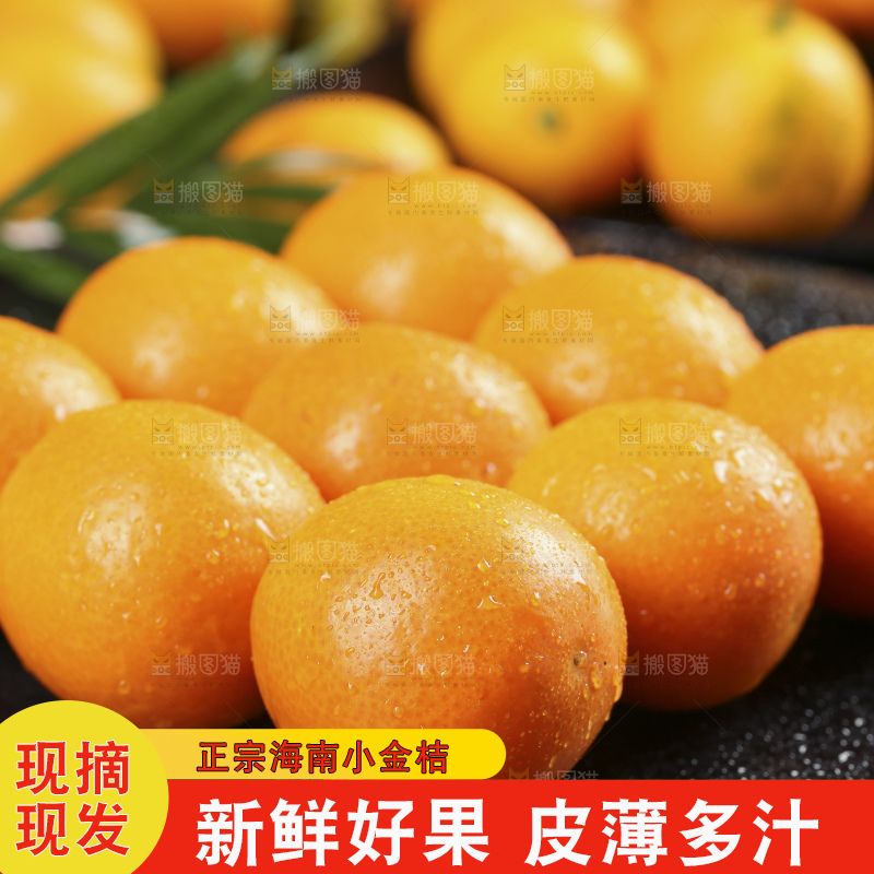 黑石板上的广西金钱橘