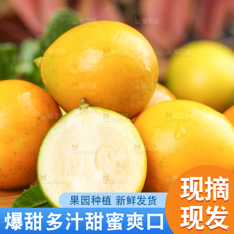 木板上的广西脆皮金桔