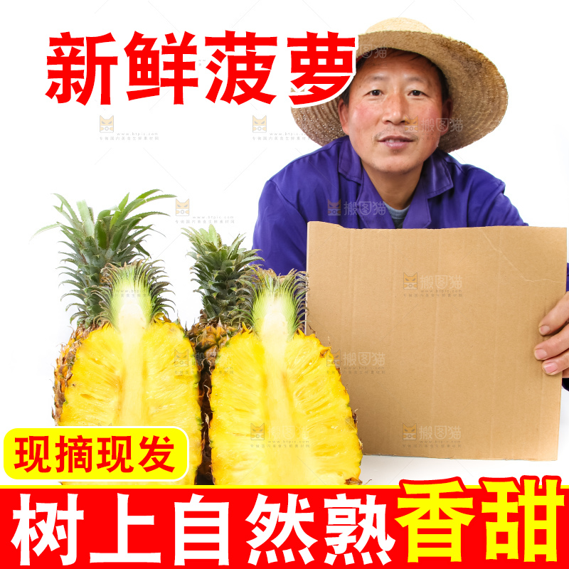 农民手里拿着香水菠萝